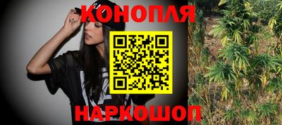 гашик Кулебаки